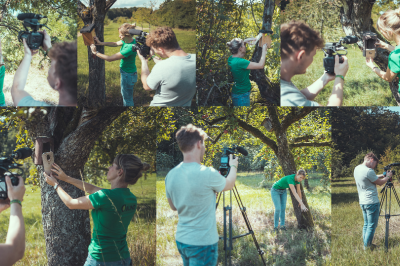 Shooting scenes in nature