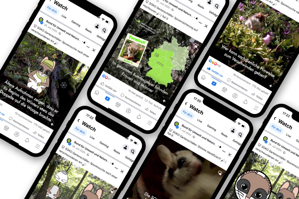 Smartphone with screenshots of the PIO campaign for BUND